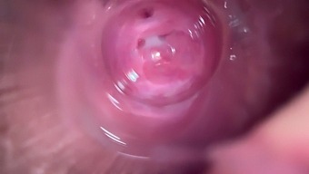Intense Close-Up Of A Tight Teen'S Wet Pussy