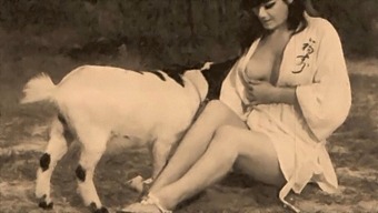 Classic Erotica With A Taboo Twist: Vintage Pussy And Dog